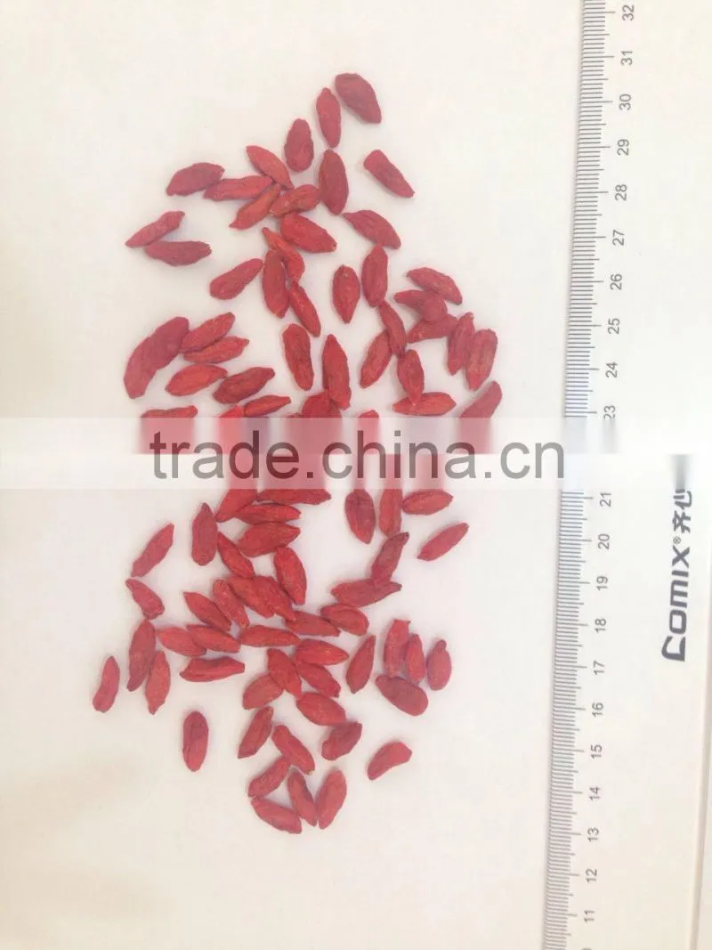 2015.2016Chinese Ningxia goji berry
