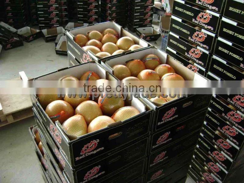 new crop fresh sweet pomelo