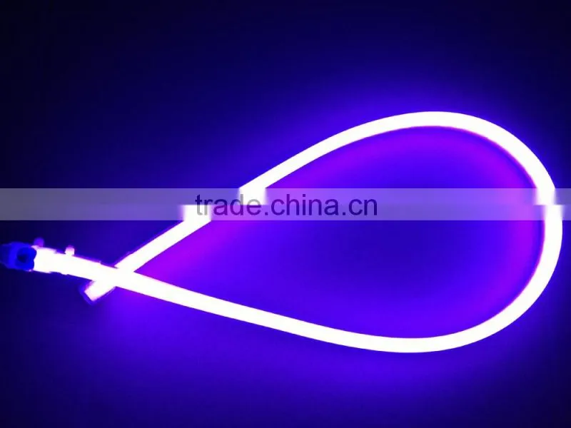 Lower voltage 24V 12V LED Neon flex Lights