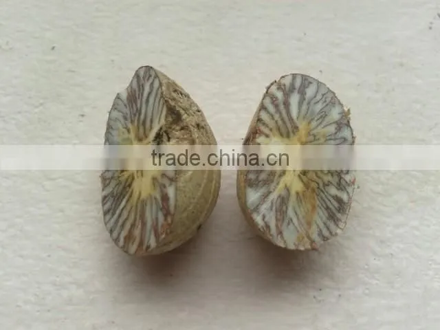 Vietnam Whole Betel Nut