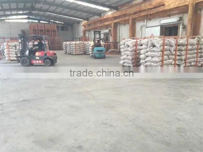 chinese garlic