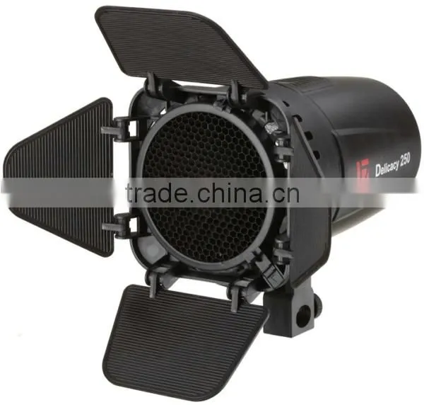 JINBEI Professional Studio Flash 250W D-250 Kit 2, Photographic Flash Kit, Strobe Kit, Photographic Equipment
