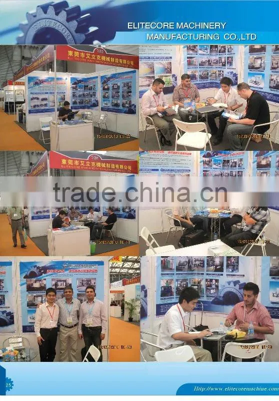 2013 Computer Quilting Machine/foam machine/sponge machine