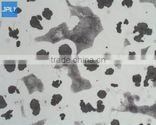 Monochrome metallographic analysis invert Microscope camera