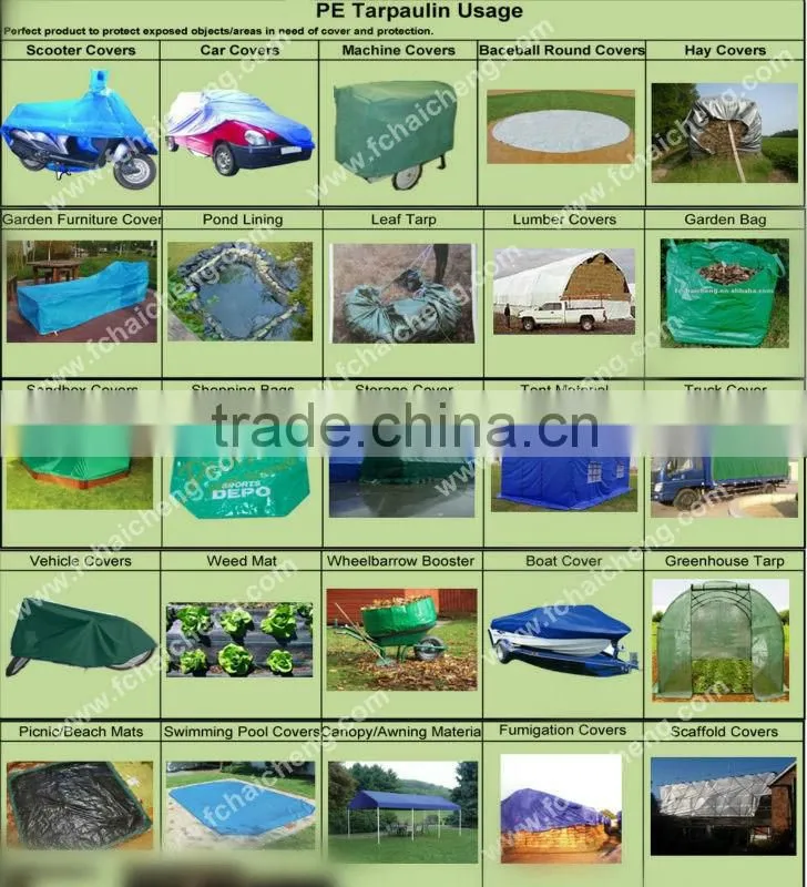 PE/PP Tarpaulin With Eyelets