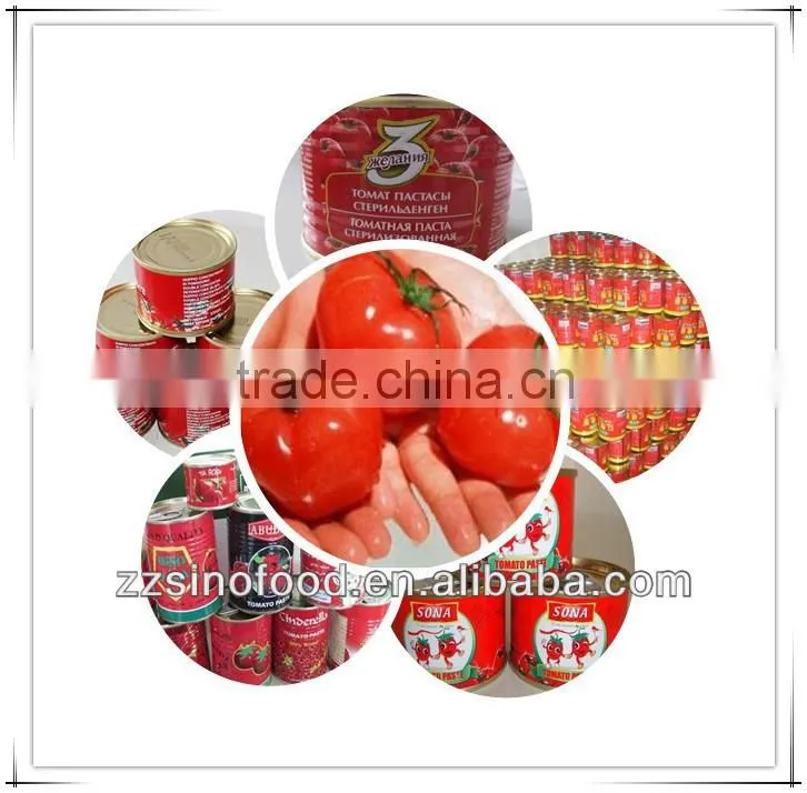 Fresh Tomato Canned Tomato Paste for Canned Metal Tins Canned Food