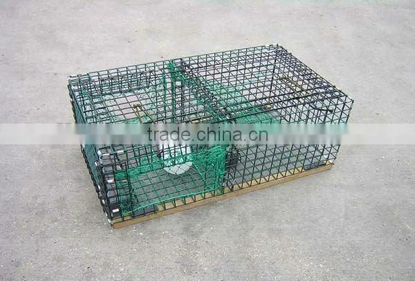 lobster pot