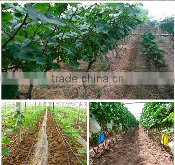 Drip Irrigation Drip Tape for agricultural and garden equipment