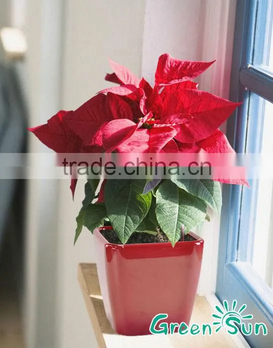 Hot selling diy indoor decoration garden planter flower pots
