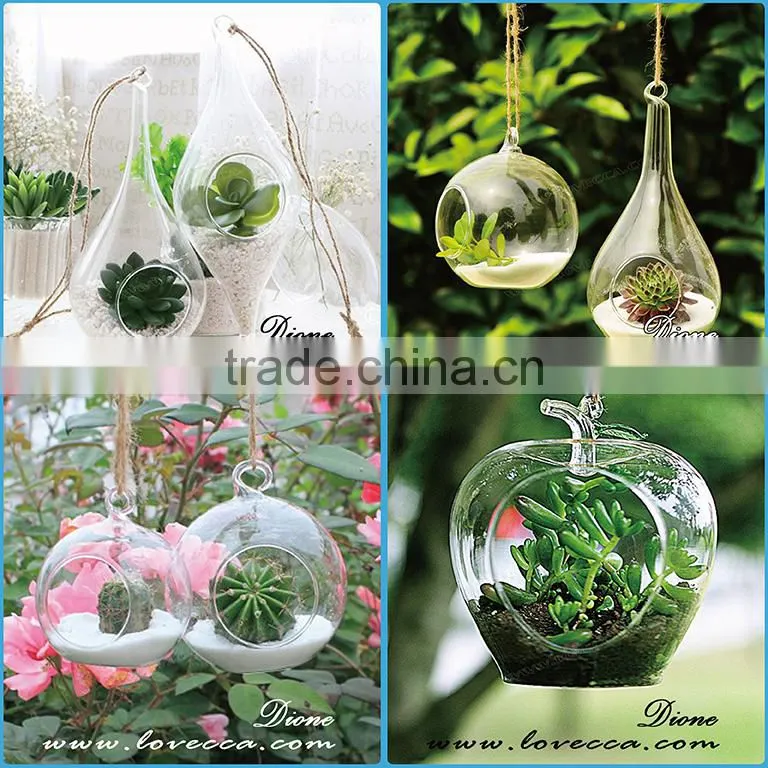 Wholesale Price Decorative Terrarium Glass. Geometric Glass Terrarium Wholesale