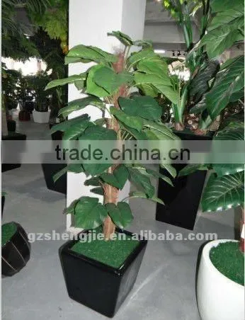 china new products,mini bonsai,artificial Scindapsus aureus