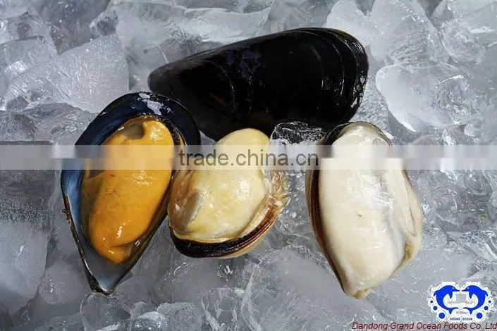 seafood frozen mussel meat in half shell