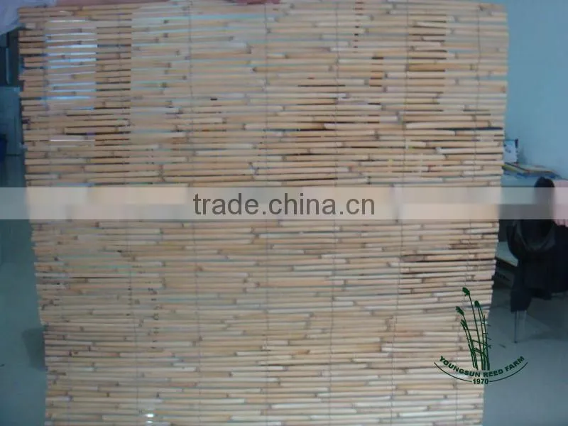 reed slat fence