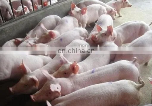 sheep hair removal machine/goat unhairing machine with strong power