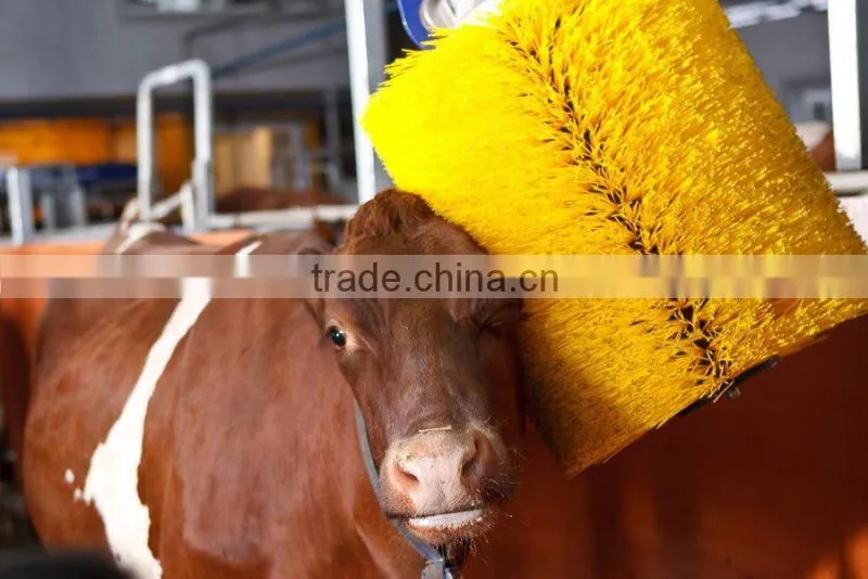 high quality cow body cleaning brush
