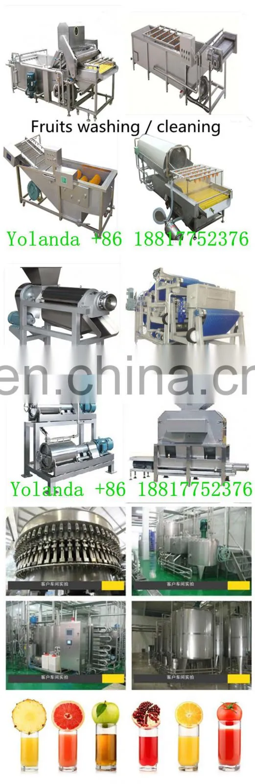 industrial Fresh noni juice making machine