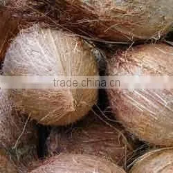 fresh coconuts for sale