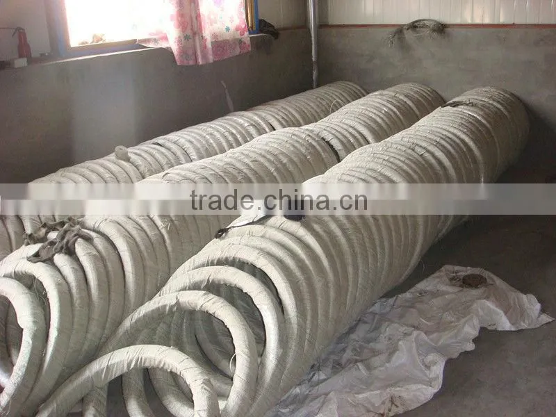 High Quality Galvanized Oval Steel Wire Export to Brazil market