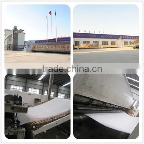 PET non woven geotextile