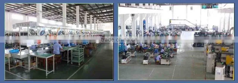 Brushless DC Motor