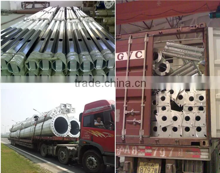 Q235 Microwave camouflage monopole for telecommunication signal distribution