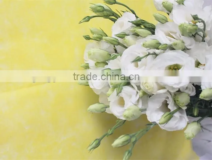 Best selling high quality fresh euatomas