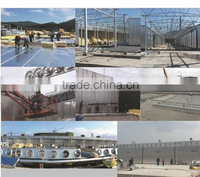 Germany joint venture wood drying oven, wood drying camera, drying room