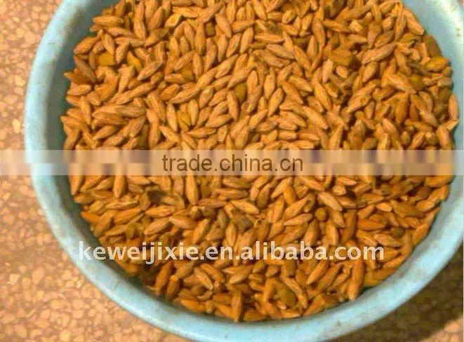 LQJ Model cold stoning machine