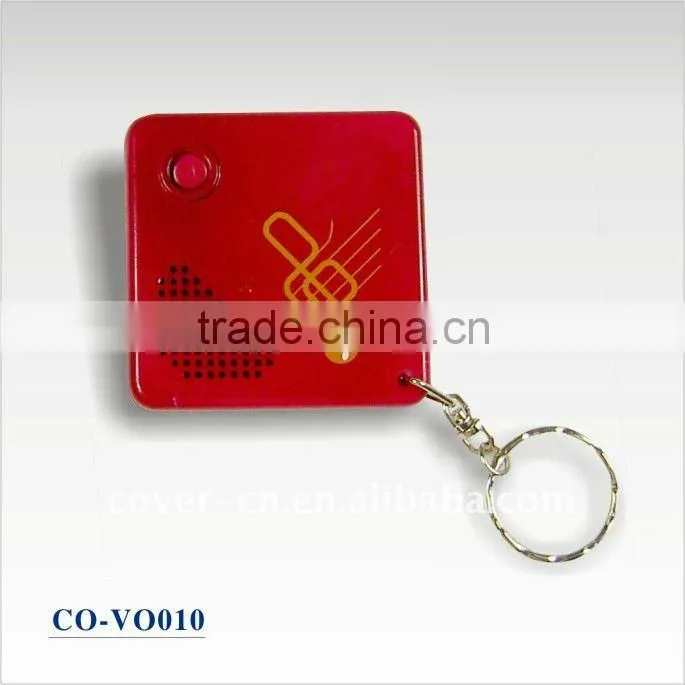 Cheapest Promotional Sound keychain