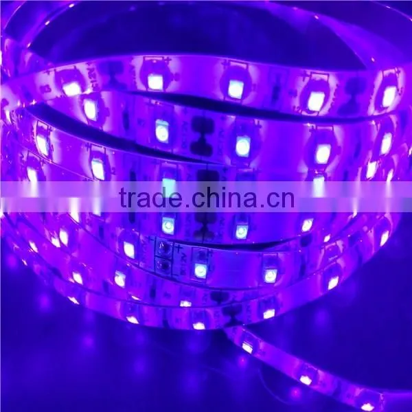 Chines factory supply DC12V 30LEDS/M LED strip light led UV strip.led flexible light SMD5050
