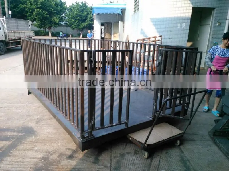 cattle scale