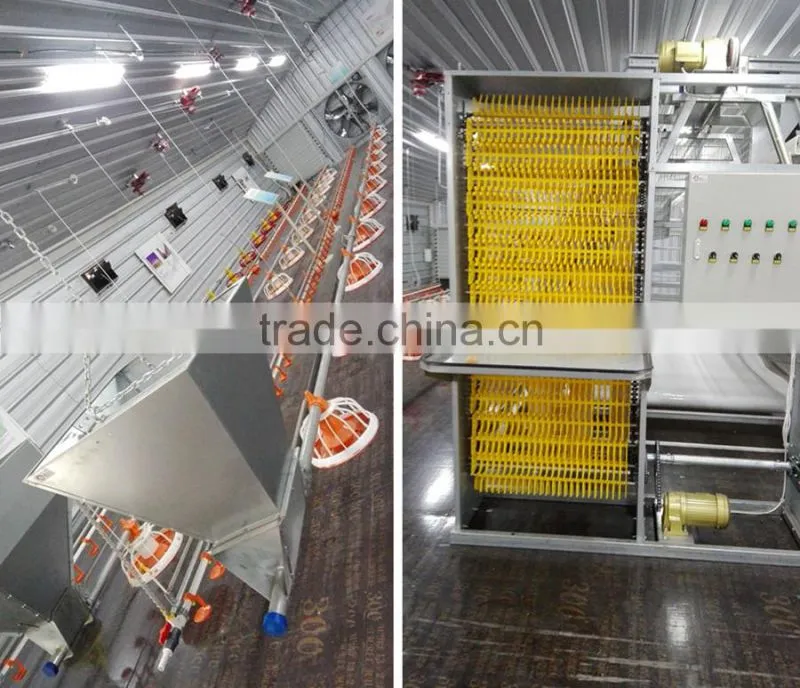 chicken farming equipment