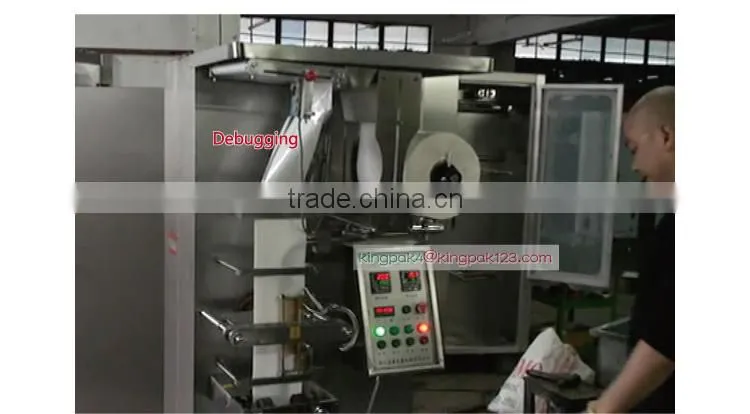 HP1000L-B Automatic Milk And Fruit Juice Packaging Machine