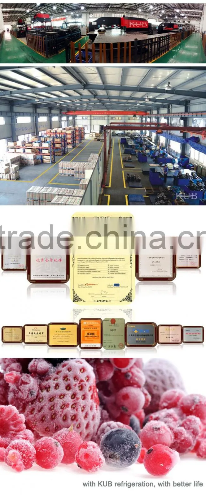 Condensing unit humidity control air cooler aluminum roll bond evaporator