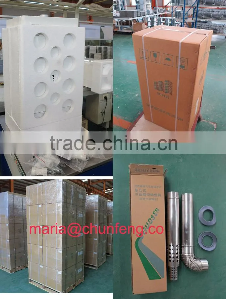Multi Functions Wall Mounted Gas Boiler