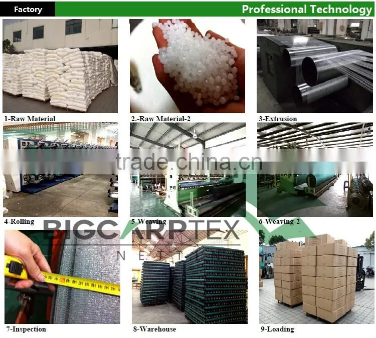 Agriculture HDPE Hexagon 55GSM Olive Net - Yellow / 60301-55