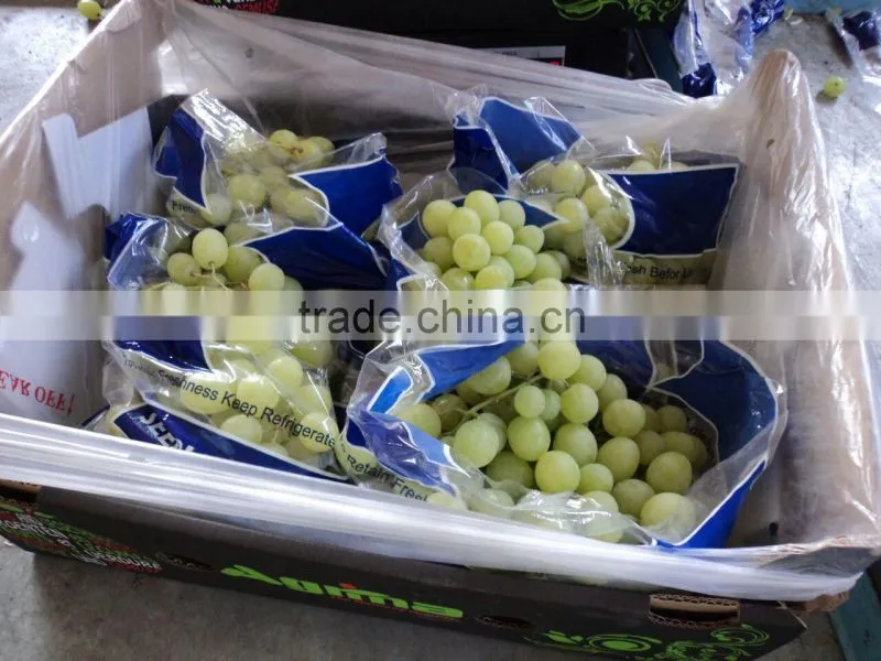 FRESH SWEET GRAPES
