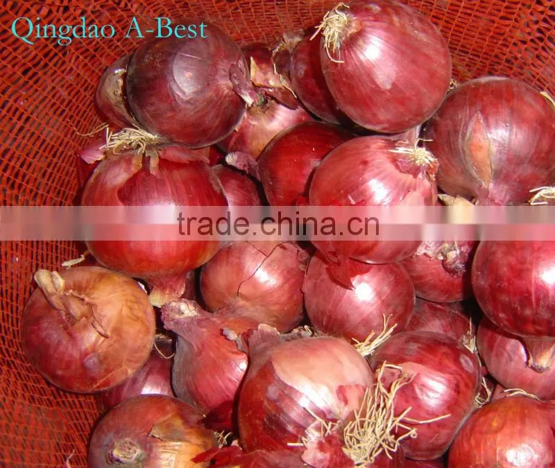 Fres Onion