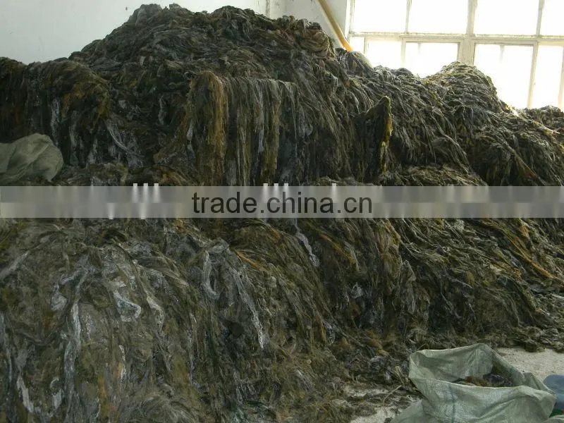 Seaweed extract organic NPK amino acid humic acid organic fertilizer