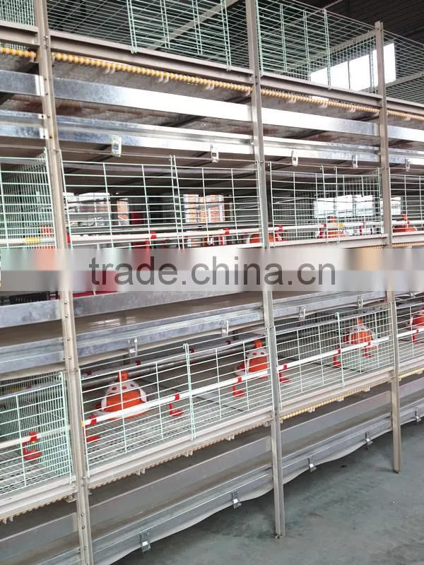 New Design Broiler Cage System