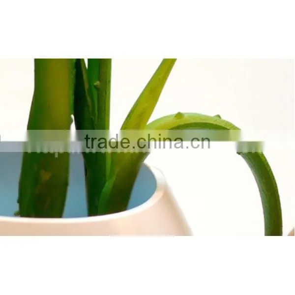 hot green plants decorative motion sensor led night light for kids