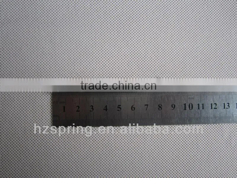 Stainless Steel Extension Spring