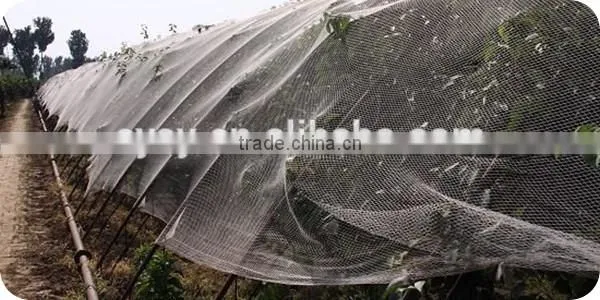 100% New HDPE agricultural anti insect net/anti-insect net with top quality and competitive price