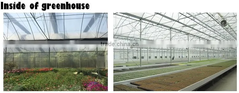 Garden Greenhouse Polycarbonate Sheet Price