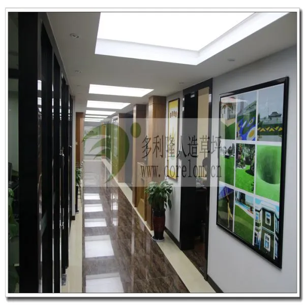 Xi An Dorelom Sports Lawn Co,. Ltd company overview - view 3