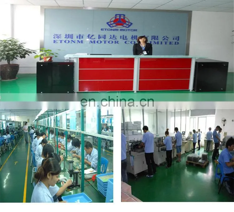 brushless motor dc motor dc 12v 4000 rpm