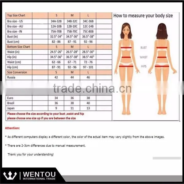 2016 New Sexy Push Up Padded Swimsuit Bikini Brazilian Biquini