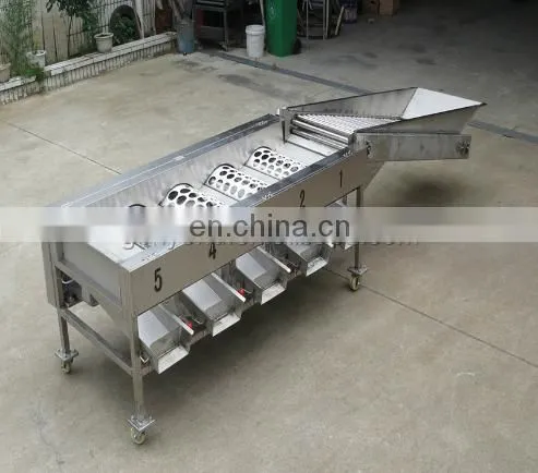 1T grading machine for olives