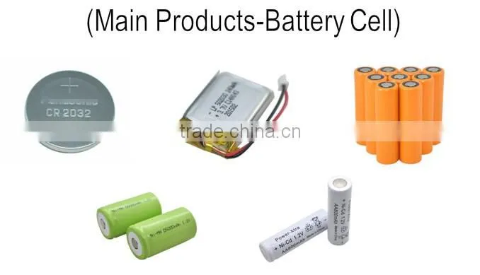 Rechargeable polymer battery 302025 110mAh
