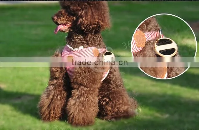 smallest gps tracking chip gps dog collar radio shack gps car tracker